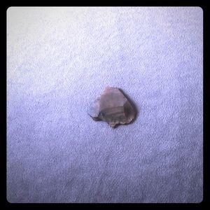 🤩Good Luck Rock👈